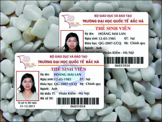 In thẻ sinh viên chất lượng cao lấy nhanh | Mẫu thẻ học sinh tiểu học, trung học | In the, in the nhua, in the nhan vien, in the nhan vien, in the gia re tai Ha Noi