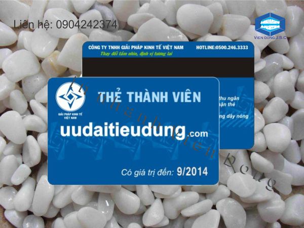 In thẻ thành viên giá rẻ tại Hà Nội | In the, in the nhua, in the nhan vien, in the nhan vien, in the gia re tai Ha Noi