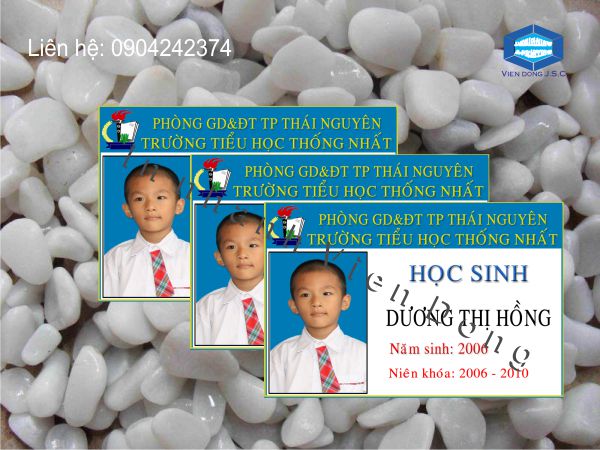In thẻ sinh viên giá rẻ tại Hà Nội | In Card Visit lấy nhanh sau 05 phút tại Hà Nội | In the, in the nhua, in the nhan vien, in the nhan vien, in the gia re tai Ha Noi